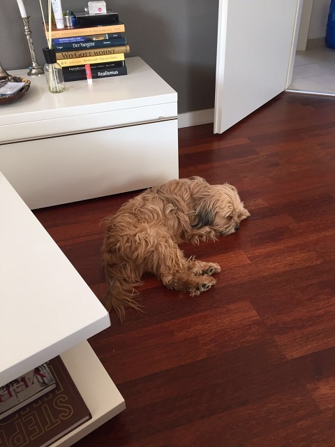 IMG-20160412-WA0005.jpg