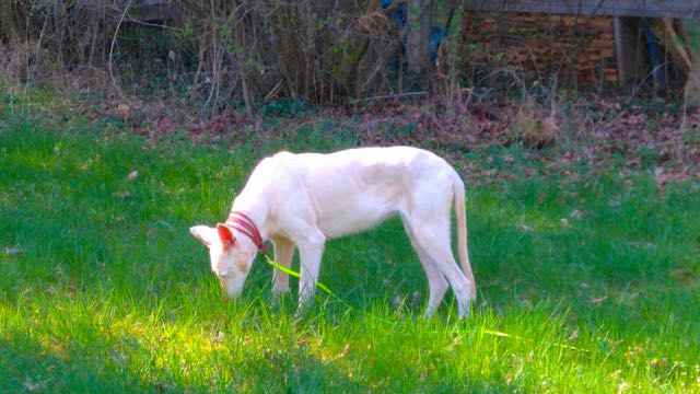 IMG_5755.jpg