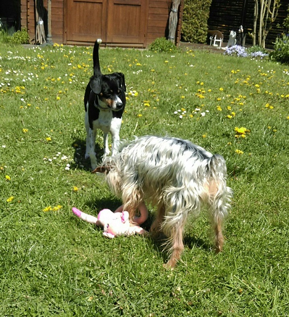 IMG-20160504-WA0005.jpg