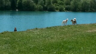 IMG-20160508-WA0000-320x180.jpg