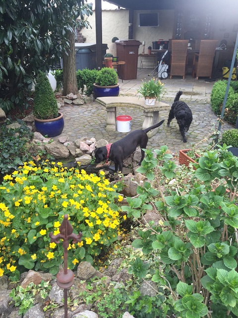 IMG-20160510-WA0011.jpg