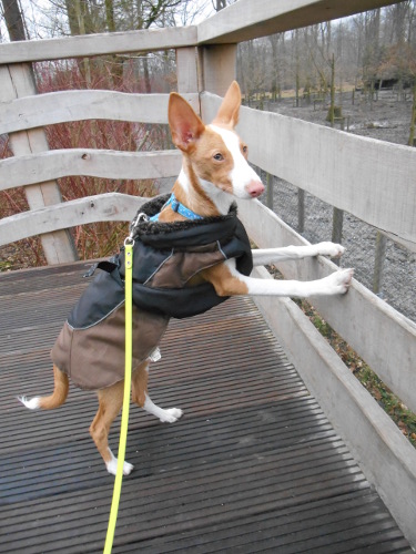 DSCN4977.JPG
