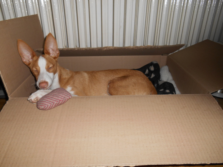 DSCN4978.JPG