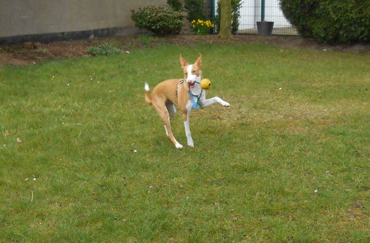 DSCN5017.JPG