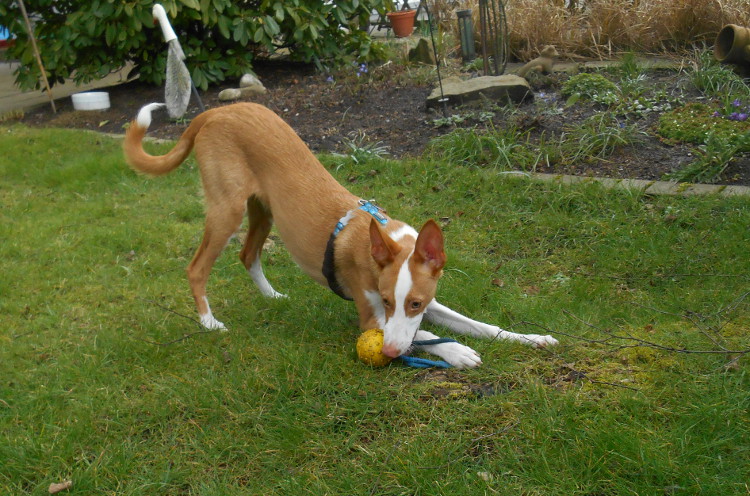 DSCN5022.JPG