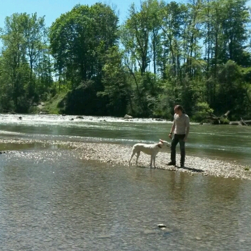IMG-20160522-WA0011_crop_360x360.jpg