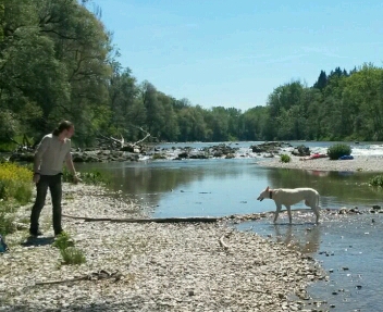 IMG-20160522-WA0018_crop_352x287.jpg
