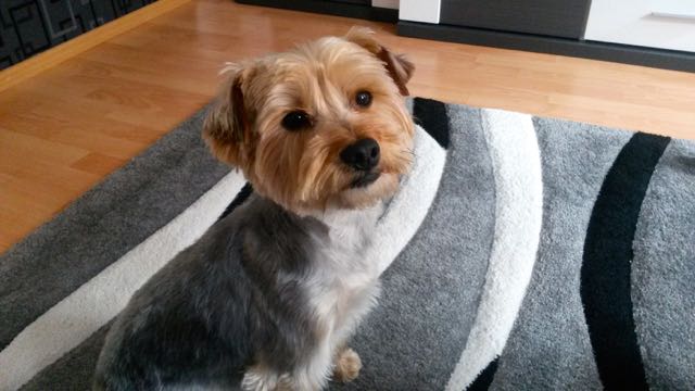 20160525_153055.jpg