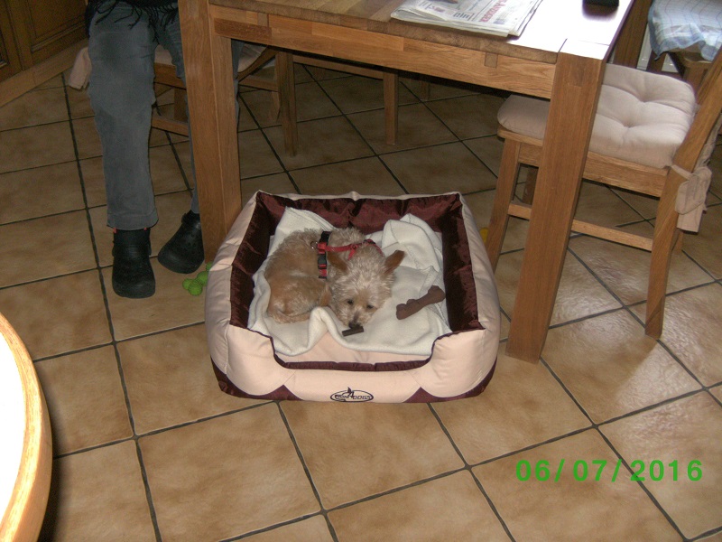 BILD2426.JPG
