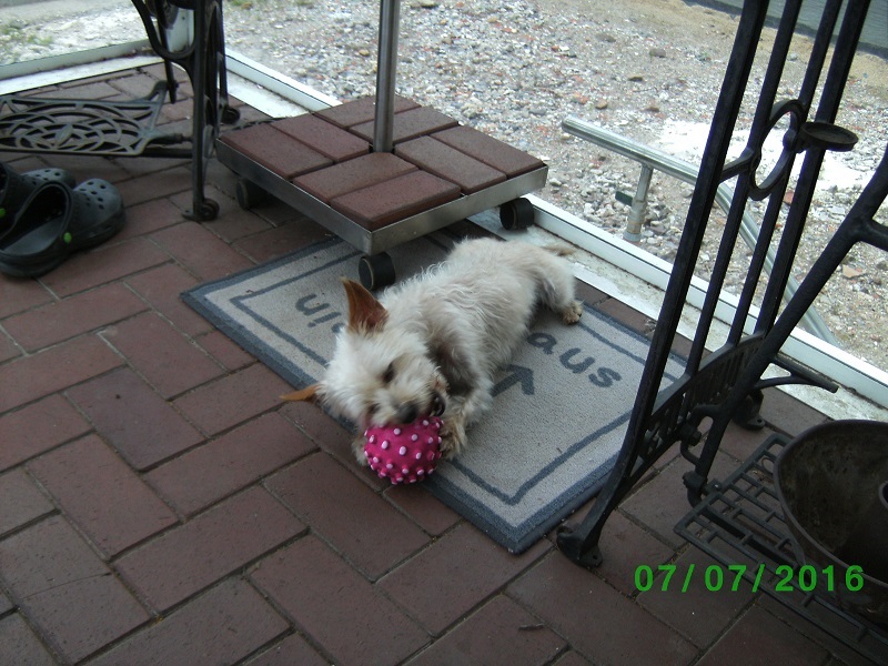 BILD2448.JPG