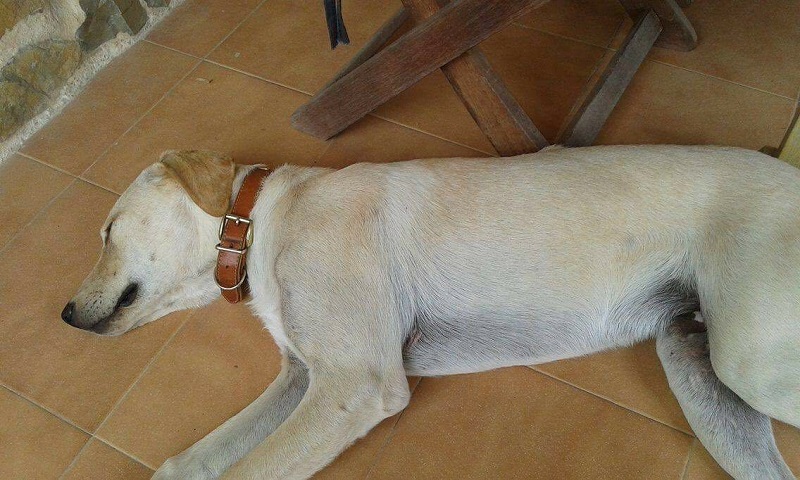 IMG-20160715-WA0010.jpg