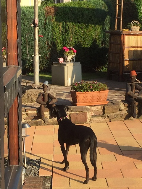 IMG-20160815-WA0004.jpg