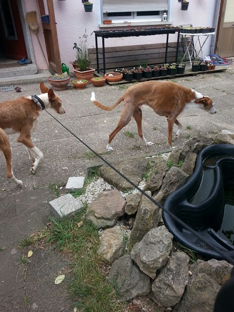 IMG-20160821-WA0003.jpg