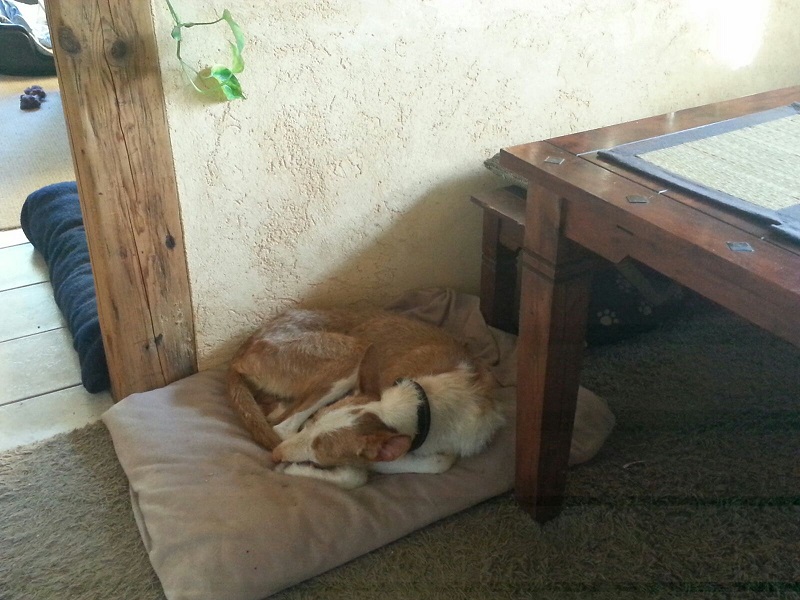 IMG-20160821-WA0009.jpg