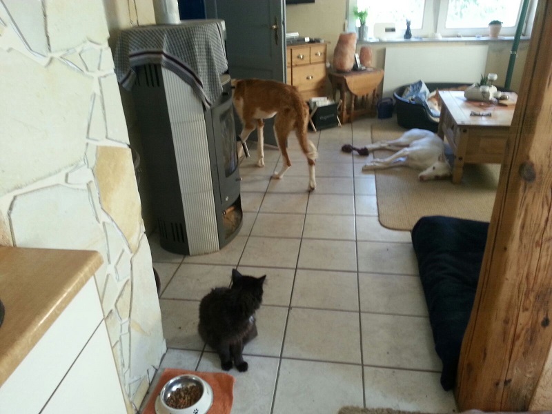 IMG-20160821-WA0013.jpg
