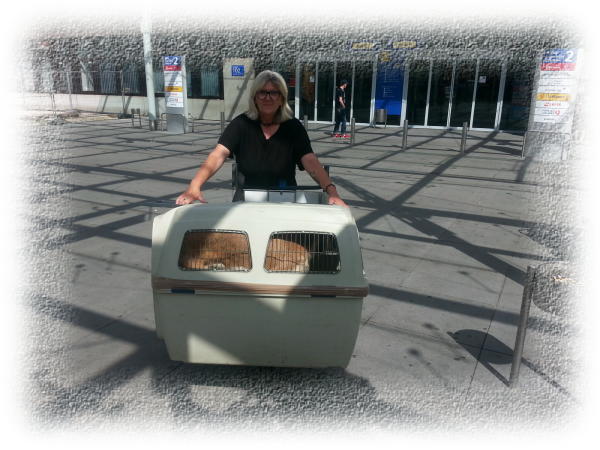 Airport Sonja.JPG