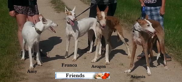 Friends-a.jpg