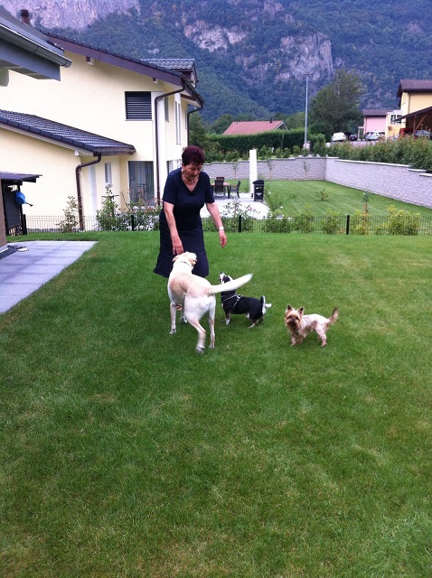 IMG-20160828-WA0011.jpg