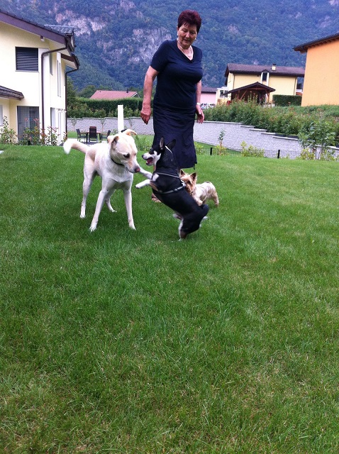IMG-20160828-WA0012.jpg