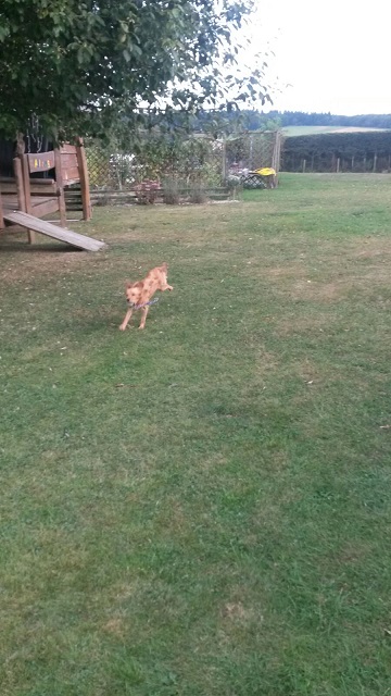 IMG-20160902-WA0004.jpg