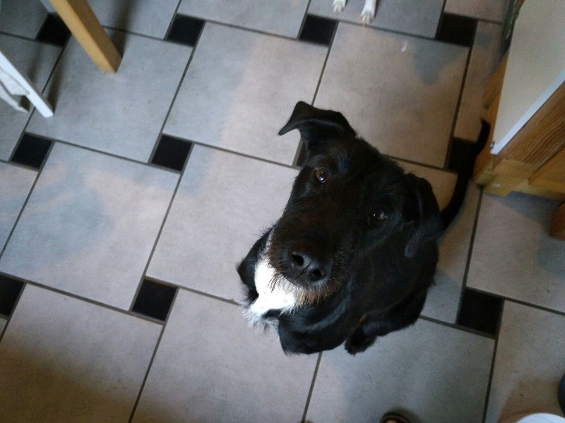 IMG-20160919-WA0004.jpg