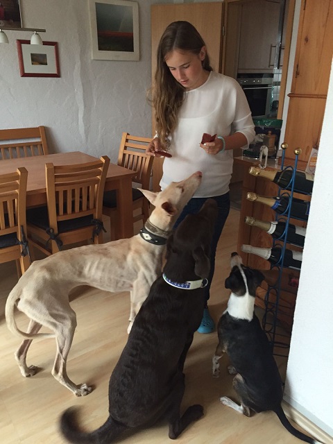 IMG-20160919-WA0008.jpg