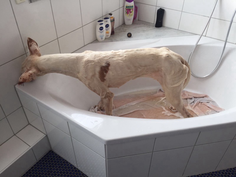 image.jpeg
