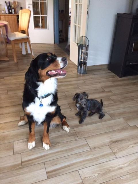Rusty und Emma.jpg