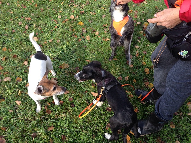 IMG-20161107-WA0014.jpg