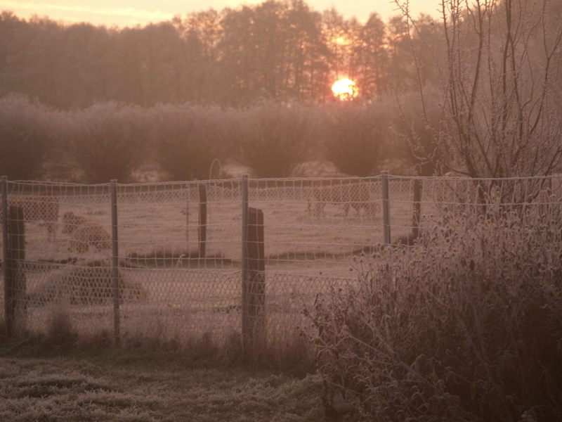 Sonnenaufgang klein.jpg