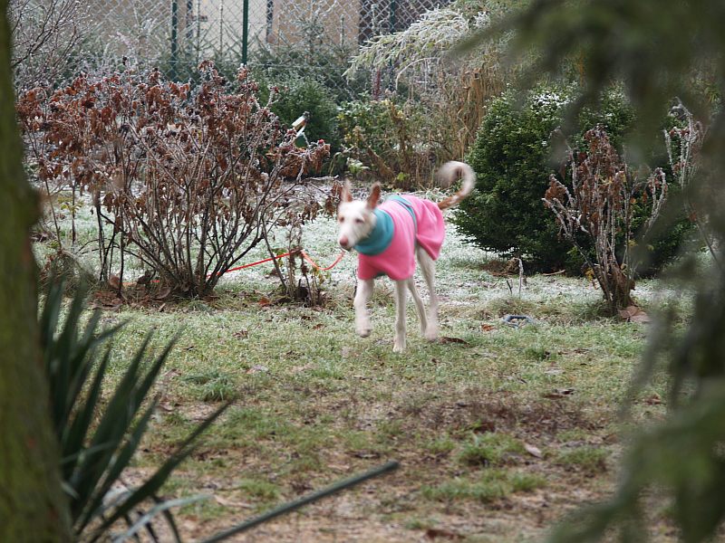 Pretty in Pink 1.jpg