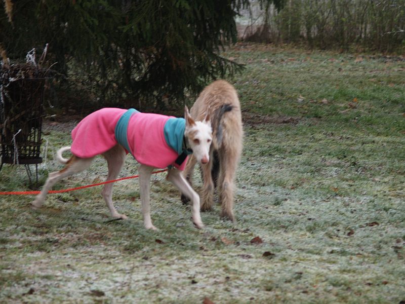 Pretty in Pink 4.jpg