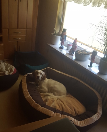 IMG-20161217-WA0000.jpg
