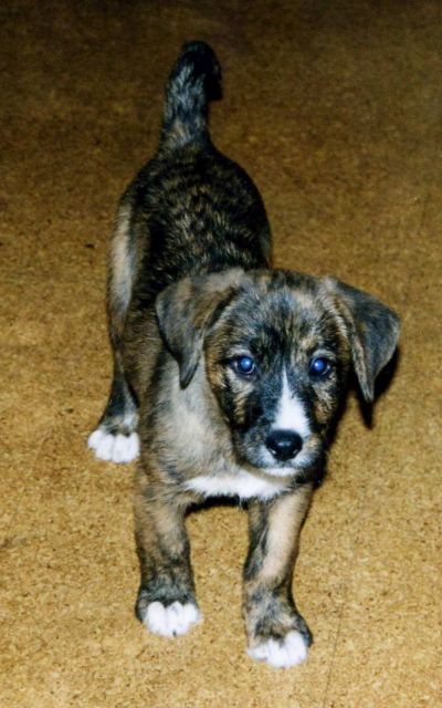 Sally-2001.jpg