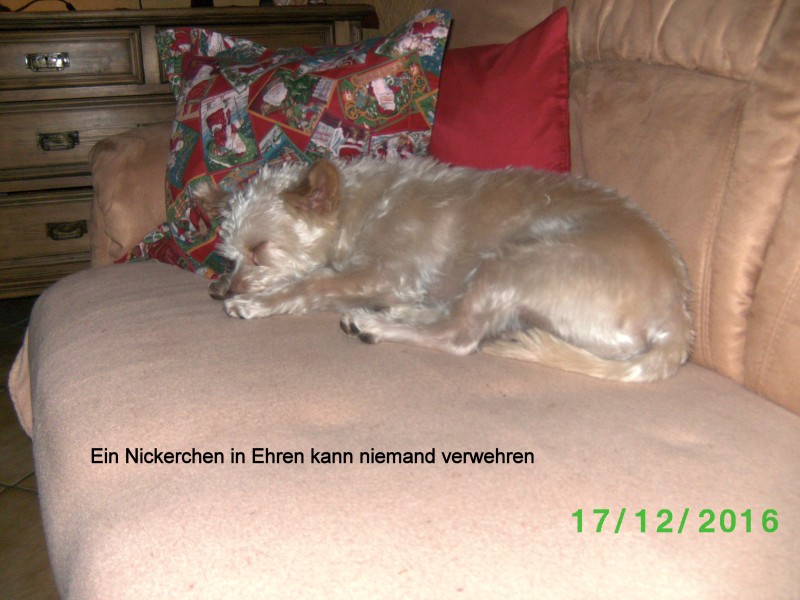 00820161224BILD2840-001.jpg