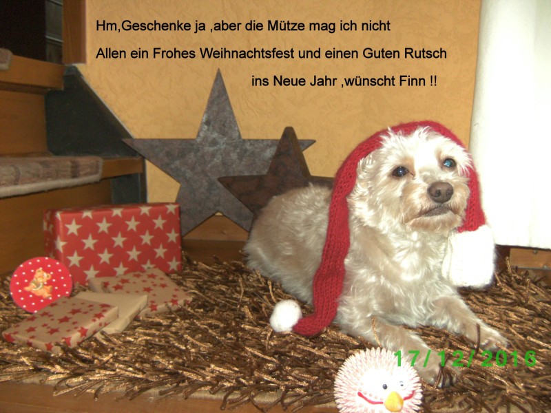 01020161224BILD2851 - Kopie-001.jpg