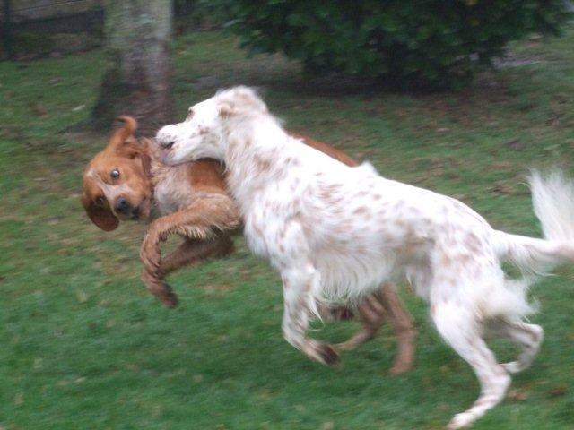 012.jpg