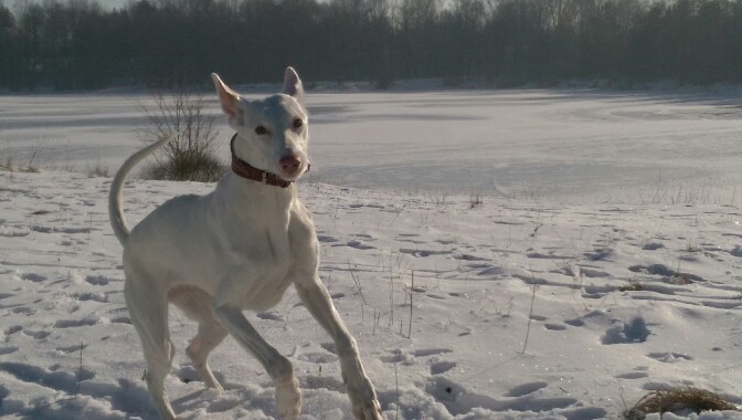 IMAG0120-672x380.jpg