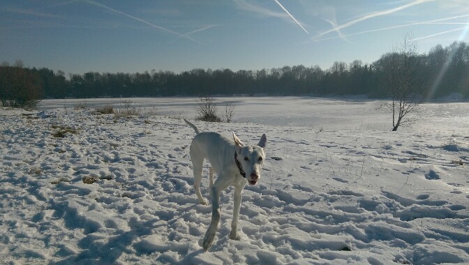IMAG0118-672x380.jpg
