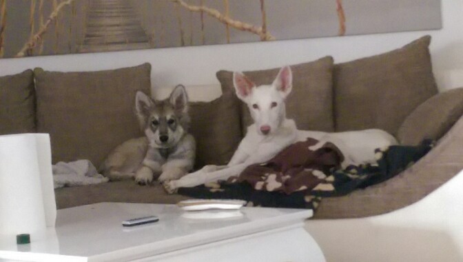 IMAG0113-672x380.jpg