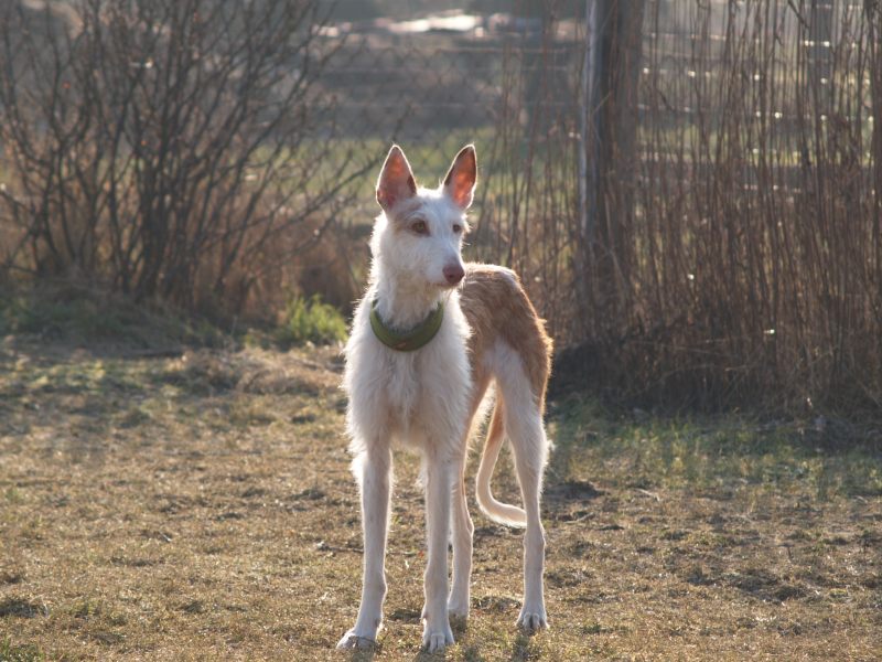 Easy toben1.jpg