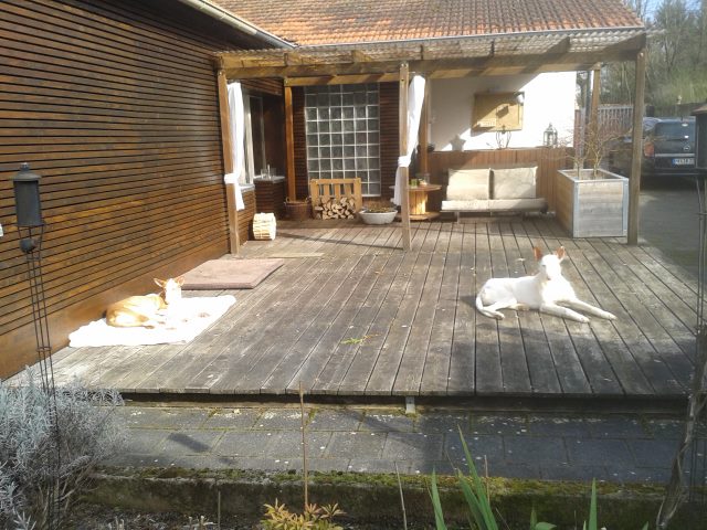 Zumindest auf einer Terrasse.jpg