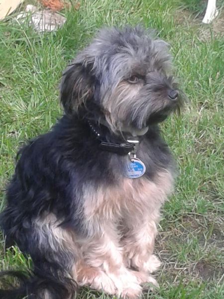 Kissy präsentiert ihre schicke Sommerfrisur