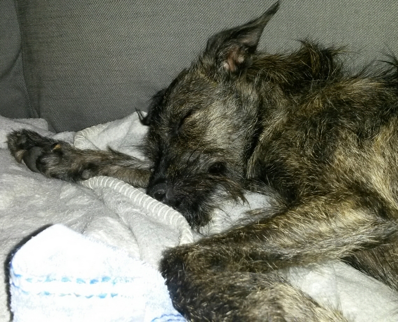 20170831_220505-1 (Kopie).jpg