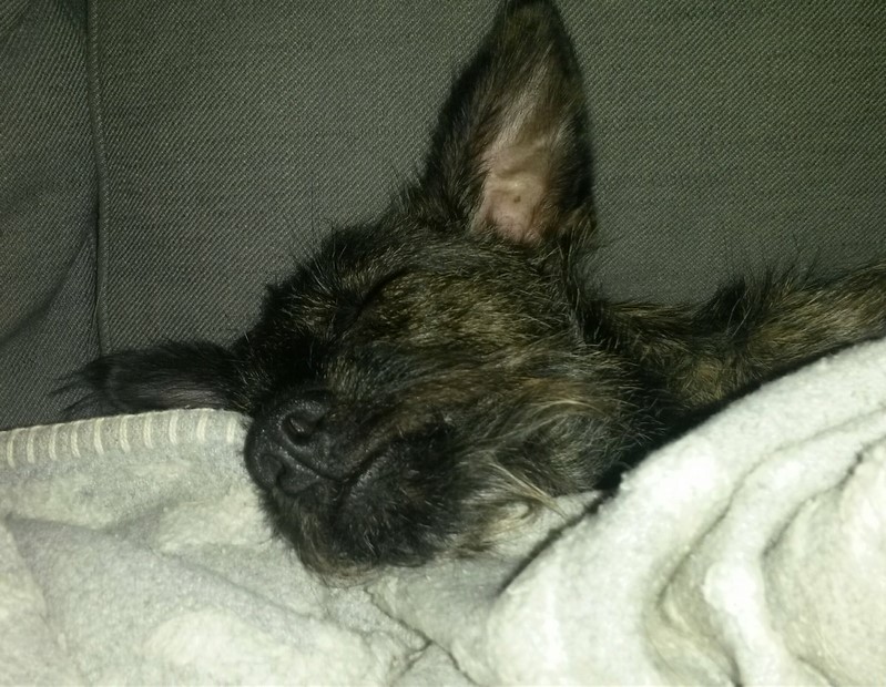 20170915_221233~2 (Kopie).jpg