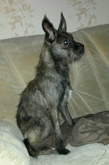 20170914_175458~2 (Kopie).jpg