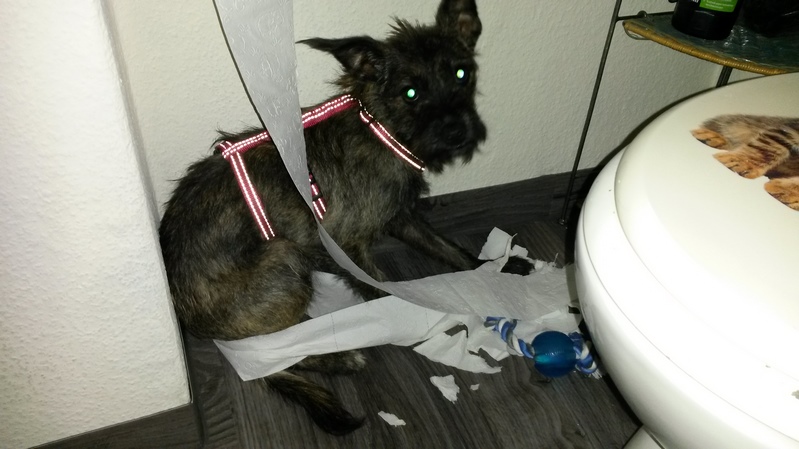 20170915_171202 (Kopie).jpg