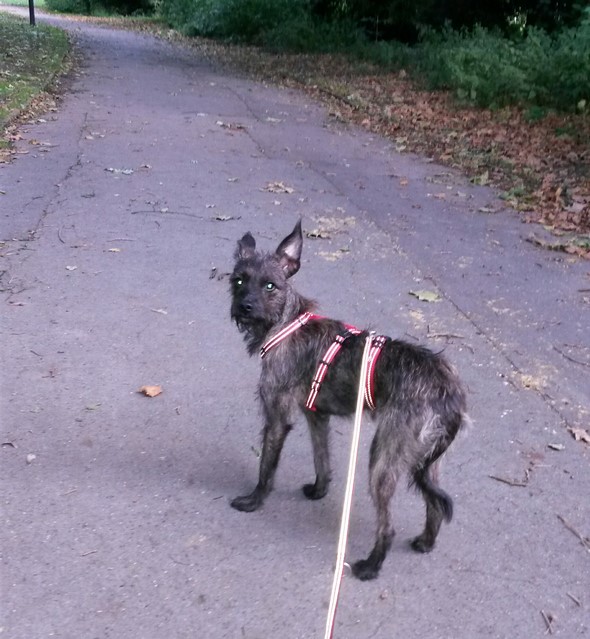 20170917_081634~2 (Kopie).jpg