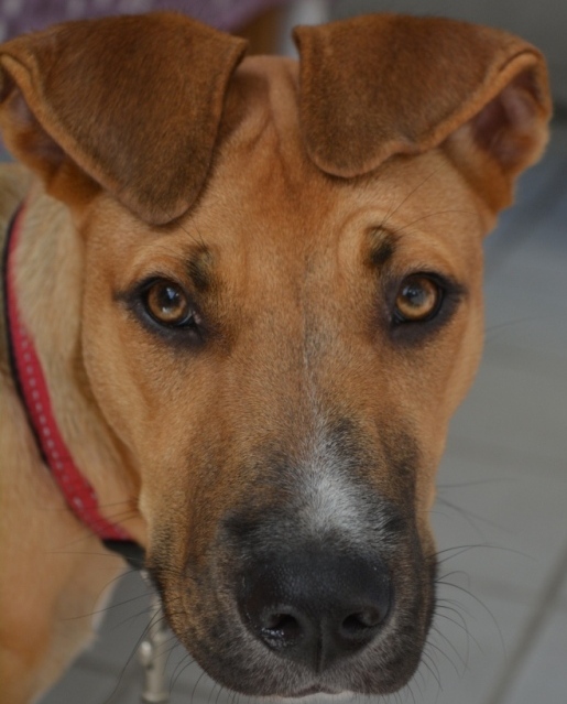 DSC_0003 Komprimiert.jpg