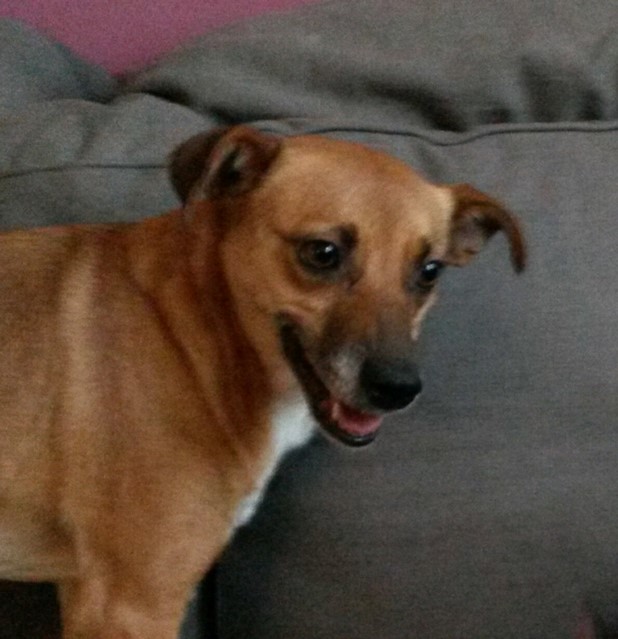 20171227_105354~2 (Kopie).jpg